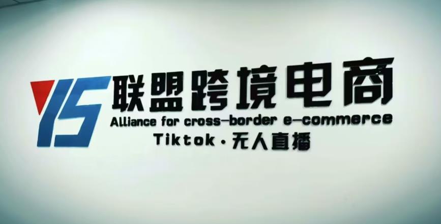 YS联盟·Tiktok无人直播，不出镜不剪辑不拍摄不发货无售后的跨境短视频躺赚玩法-绝版学习资料库