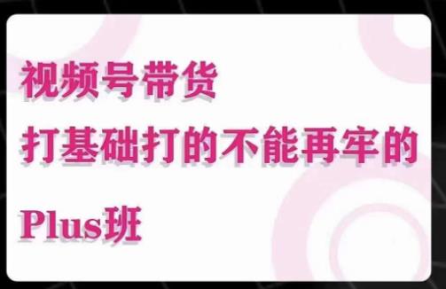 大播汇·视频号带货Puls班，视频号底层逻辑，起号自然流鱼塘等玩法-绝版学习资料库