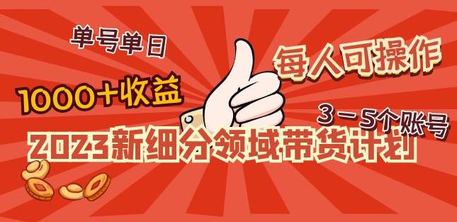 2023新细分领域带货计划：单号单日1000+收益不难，每人可操作3-5个账号-绝版学习资料库