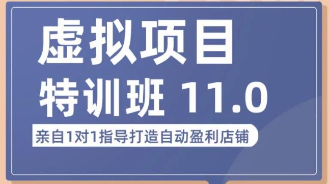 陆明明·虚拟项目特训班（10.0+11.0），0成本获取虚拟素材，0基础打造自动盈利店铺-绝版学习资料库