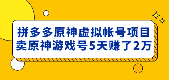 外面卖2980的拼多多原神虚拟帐号项目：卖原神游戏号5天赚了2万-绝版学习资料库