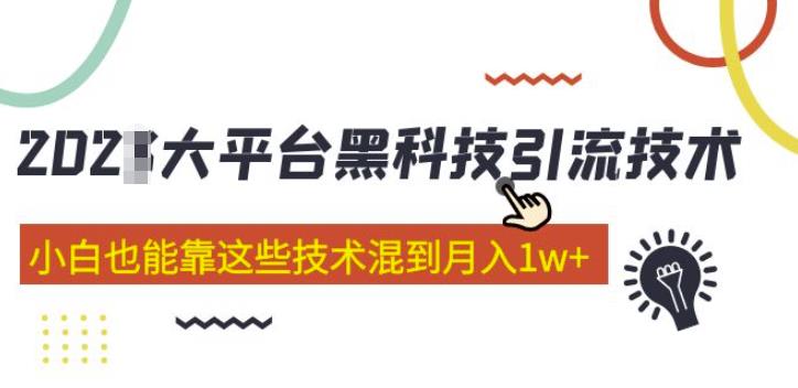 大平台黑科技引流技术，小白也能靠这些技术混到月入1w+(2022年的课程）-绝版学习资料库