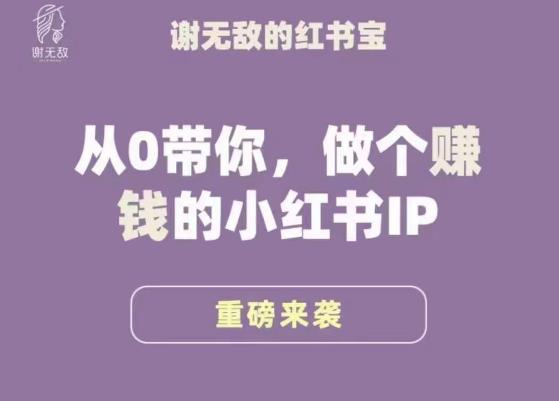 谢无敌·小红书运营大宝典，从0带你做个赚钱的小红书IP-绝版学习资料库
