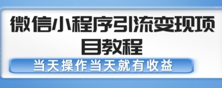 微信小程序引流变现项目教程，当天操作当天就有收益，变现不再是难事-绝版学习资料库