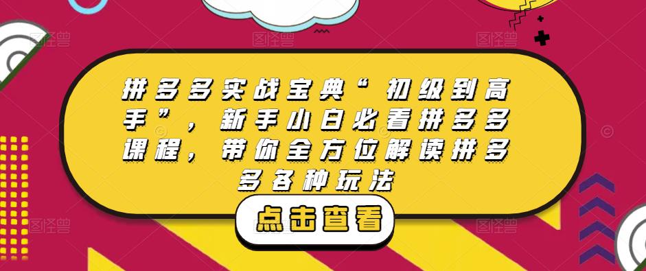 拼多多实战宝典“初级到高手”，新手小白必看拼多多课程，带你全方位解读拼多多各种玩法-绝版学习资料库