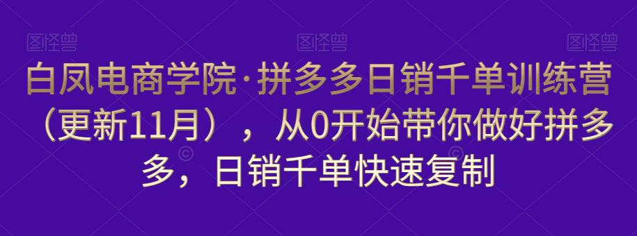 白凤电商学院·拼多多日销千单训练营，从0开始带你做好拼多多，日销千单快速复制（更新知2023年3月）-绝版学习资料库