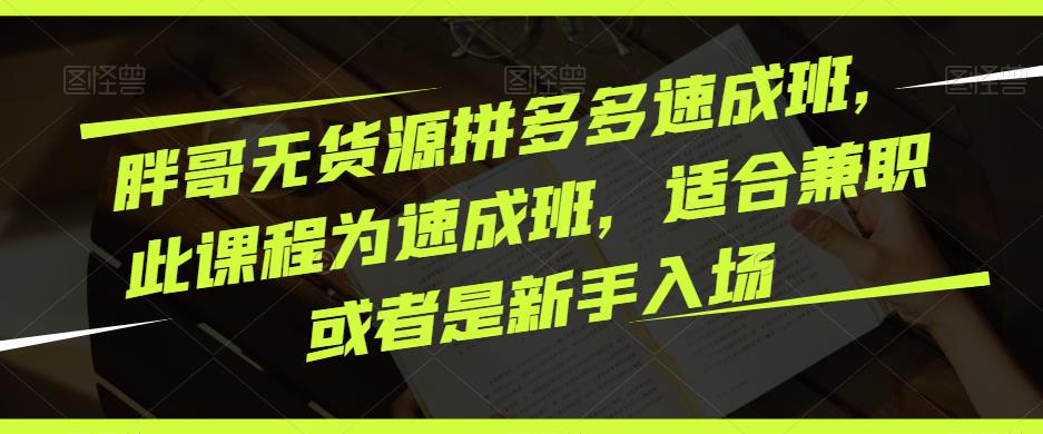 胖哥无货源拼多多速成班，此课程为速成班，适合兼职或者是新手入场-绝版学习资料库