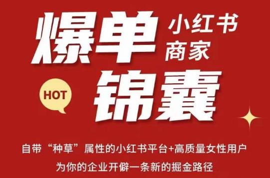 无畏·小红书商家爆单锦囊，掌握小红书各大规则，快速精准抢占行业和市场-绝版学习资料库