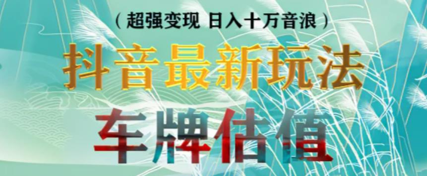抖音最新无人直播变现直播车牌估值玩法项目，轻松日赚几百+【详细玩法教程】-绝版学习资料库
