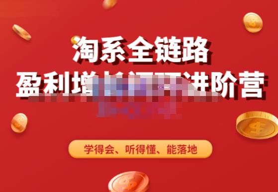 淘系全链路盈利增长闭环进阶营，融合全店动销，学得会、听得懂、能落地！-绝版学习资料库