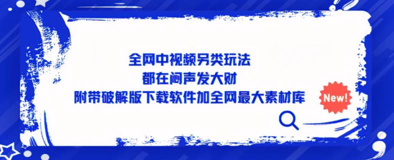 全网中视频另类玩法，都在闷声发大财，附带破解版下载软件加全网最大素材库-绝版学习资料库