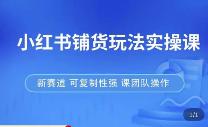 小红书铺货玩法实操课，流量大，竞争小，非常好做，新赛道，可复制性强，可团队操作-绝版学习资料库