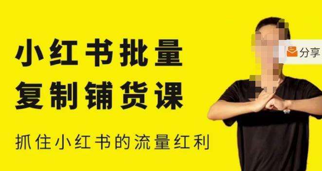 张宾·小红书批量复制铺货课，小红书0-1快速起号变现玩法，抓住小红书的流量红利（更新2023年3月）-绝版学习资料库