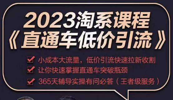 2023直通车低价引流玩法课程，小成本大流量，低价引流快速拉新收割，让你快速掌握直通车突破瓶颈-绝版学习资料库