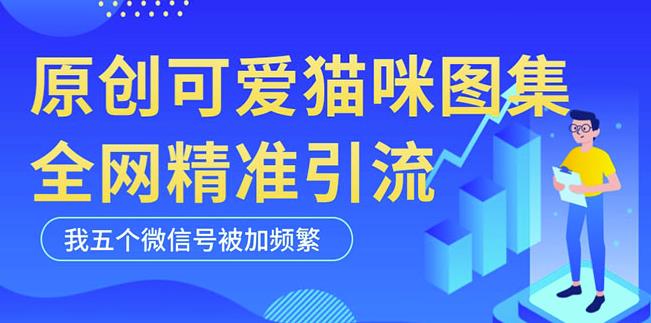 黑科技纯原创可爱猫咪图片，全网精准引流，实操5个VX号被加频繁-绝版学习资料库