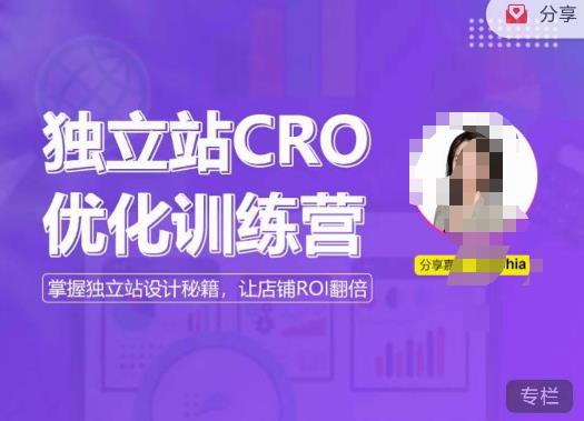 独立站CRO优化训练营，掌握独立站设计秘籍，打造高转化的独立站，让店铺ROI翻倍-绝版学习资料库