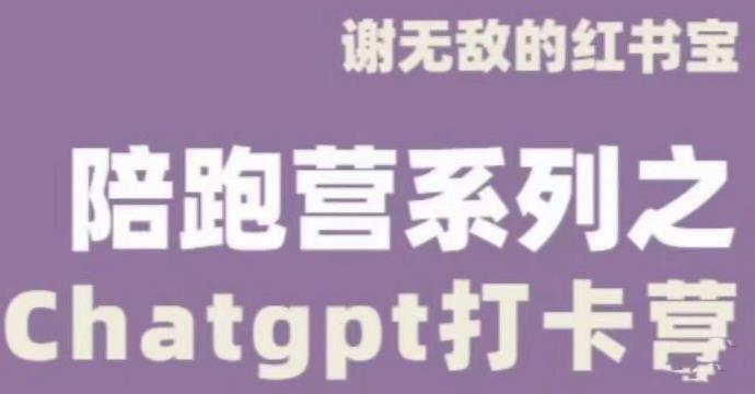 谢无敌ChatGPT打卡营，教你更好地使用ChatGPT来提高工作效率-绝版学习资料库