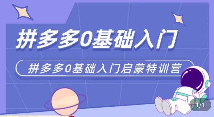 六一电商·拼多多运营0-1实操特训营，拼多多从基础到进阶的可实操玩法-绝版学习资料库