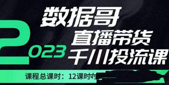 数据哥2023直播电商巨量千川付费投流实操课，快速掌握直播带货运营投放策略-绝版学习资料库