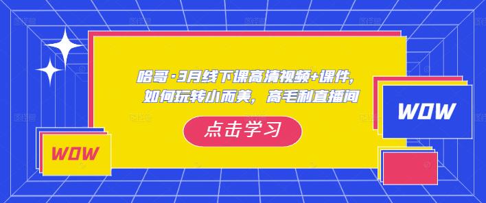 哈哥·3月线下实操课高清视频+课件，如何玩转小而美，高毛利直播间-绝版学习资料库