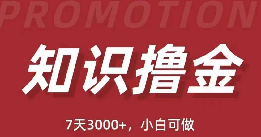 抖音知识撸金项目：简单粗暴日入1000+执行力强当天见收益(教程+资料)-绝版学习资料库