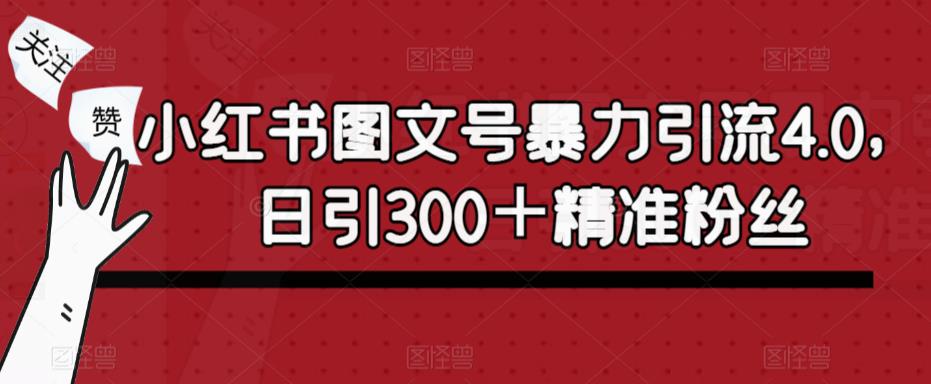 小红书图文号暴力引流4.0，日引300＋精准粉丝【揭秘】-绝版学习资料库