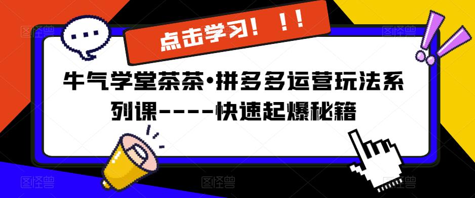 牛气学堂茶茶•拼多多运营玩法系列课—-快速起爆秘籍【更新】-绝版学习资料库