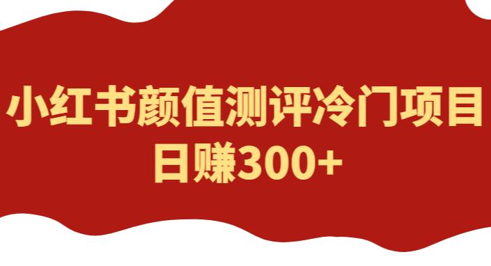 外面1980的项目，小红书颜值测评冷门项目，日赚300+【揭秘】-绝版学习资料库