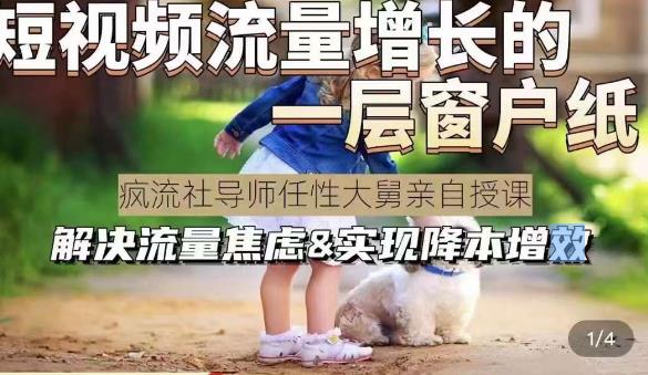 任性大舅·宠物行业短视频运营课(不讲废话)，短视频流量增长的一层窗户纸，解决流量焦虑&实现降本增效-绝版学习资料库