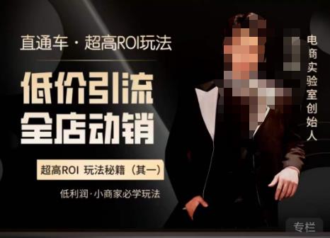 电商冰可乐·直通车·《低价引流·全店动销》，直通车·超高ROI玩法（其一）全店动销必学玩法-绝版学习资料库