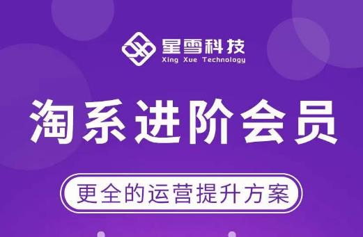 星雪·淘系进阶课程，快速提升突破技能流量瓶颈必备（更新2023年5月）-绝版学习资料库