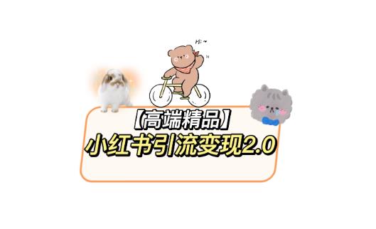 小红书最新引流变现教程，全网最新最详细的视频教程以及素材-绝版学习资料库