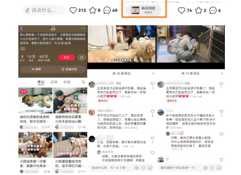 小红书蓝海类赛道：小动物打赏与购买变现副业项目，一条龙玩法分享给你！-绝版学习资料库