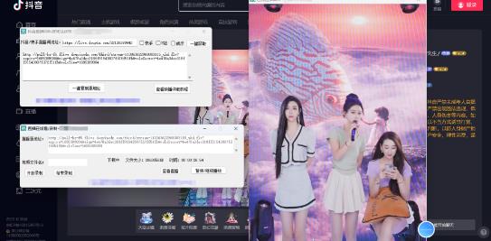 最新电脑版抖音/快手/B站直播源获取+直播间实时录制+直播转播软件【全套软件+详细教程】-绝版学习资料库