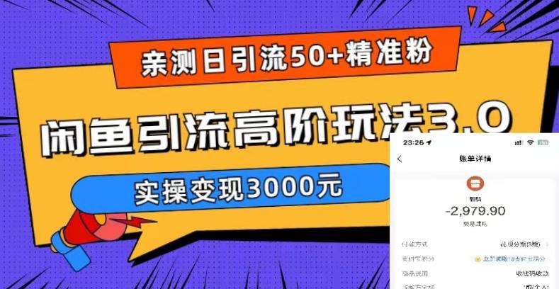 亲测日引50+精准粉，闲鱼引流高阶玩法3.0，实操变现3000元【揭秘】-绝版学习资料库