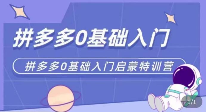 拼多多运营0-1实操特训营，拼多多0基础入门，从基础到进阶的可实操玩法-绝版学习资料库