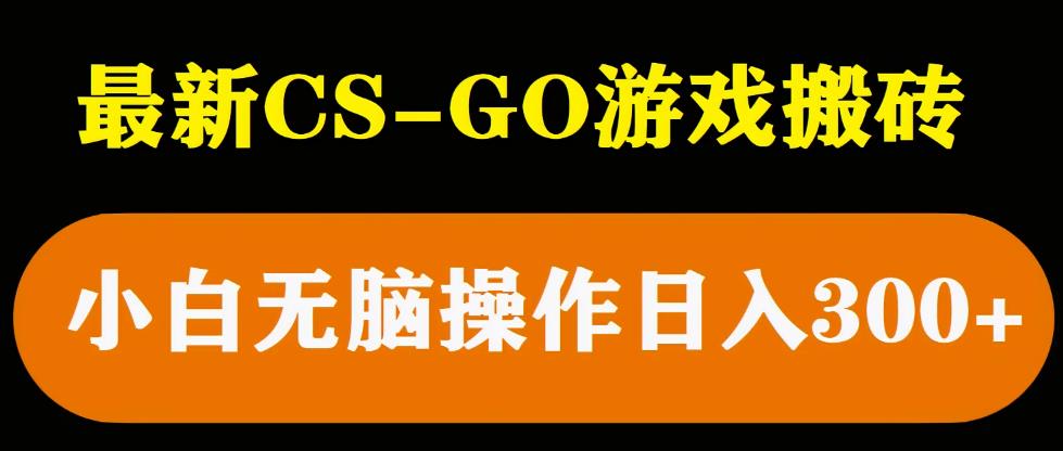 最新csgo游戏搬砖游戏，无需挂机小白无脑也能日入300+-绝版学习资料库